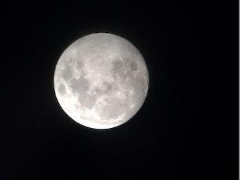 moon2[1].jpg
