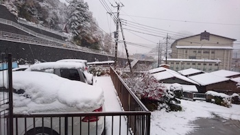cha161124-11.jpg