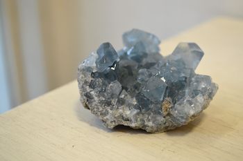 DSC_0019.jpg