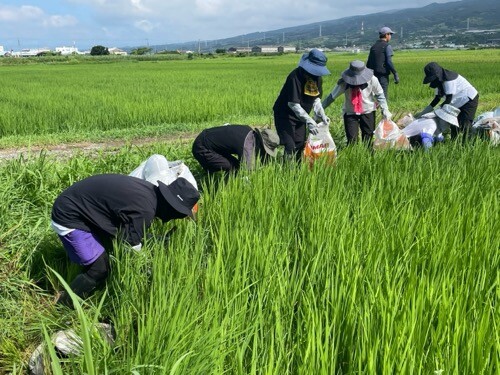 IMG_1343.jpeg
