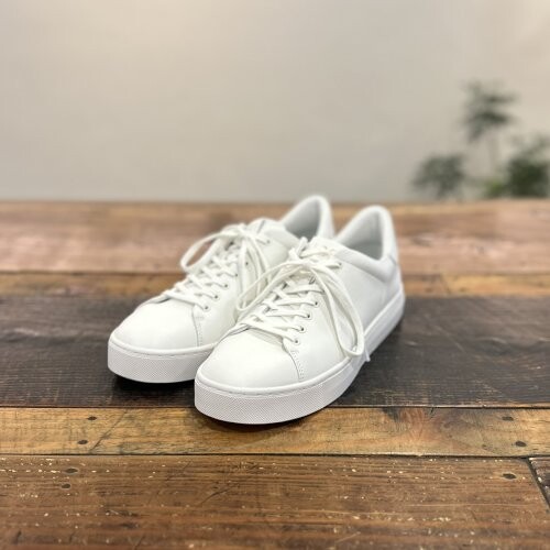 line_oa_chat_251010_102026.jpg