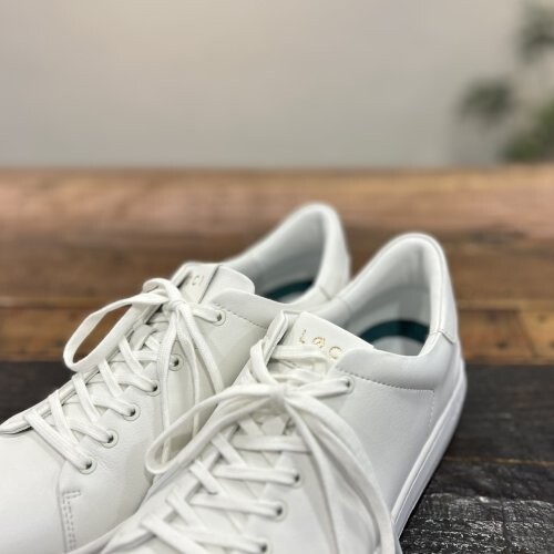 line_oa_chat_251010_102030.jpg
