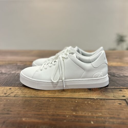 line_oa_chat_251010_102036.jpg