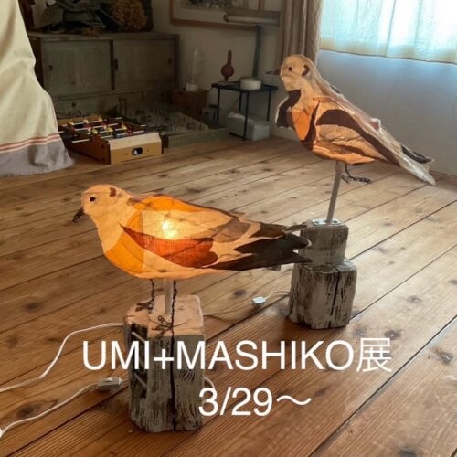 line_oa_chat_250328_122237.jpg