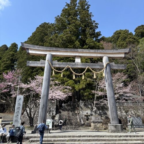 line_oa_chat_250506_173253.jpg