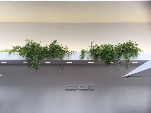 seccafe-2017^01-07-1.jpg