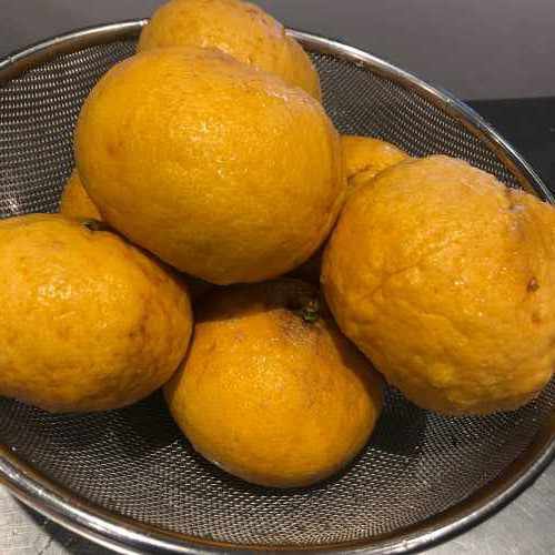 IMG-0681_s_s.jpg