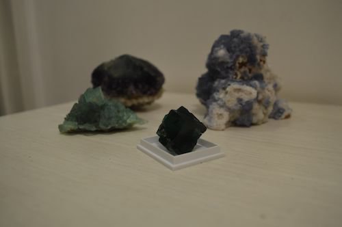 DSC_1644.jpg