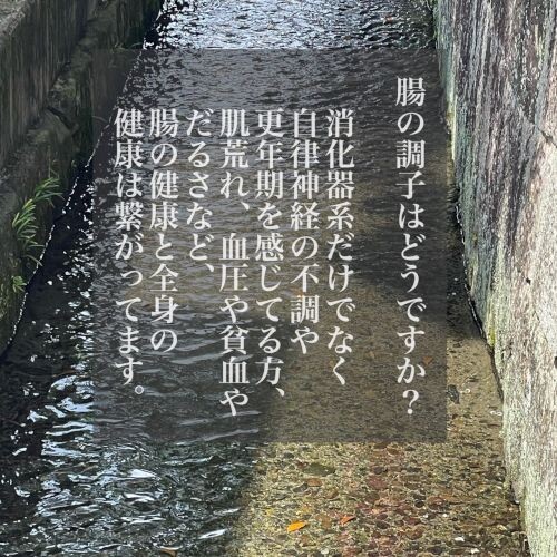 umi24-5-25-1_s.jpg
