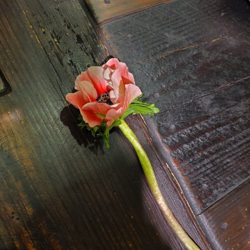 20201222_201225_0_0.jpg